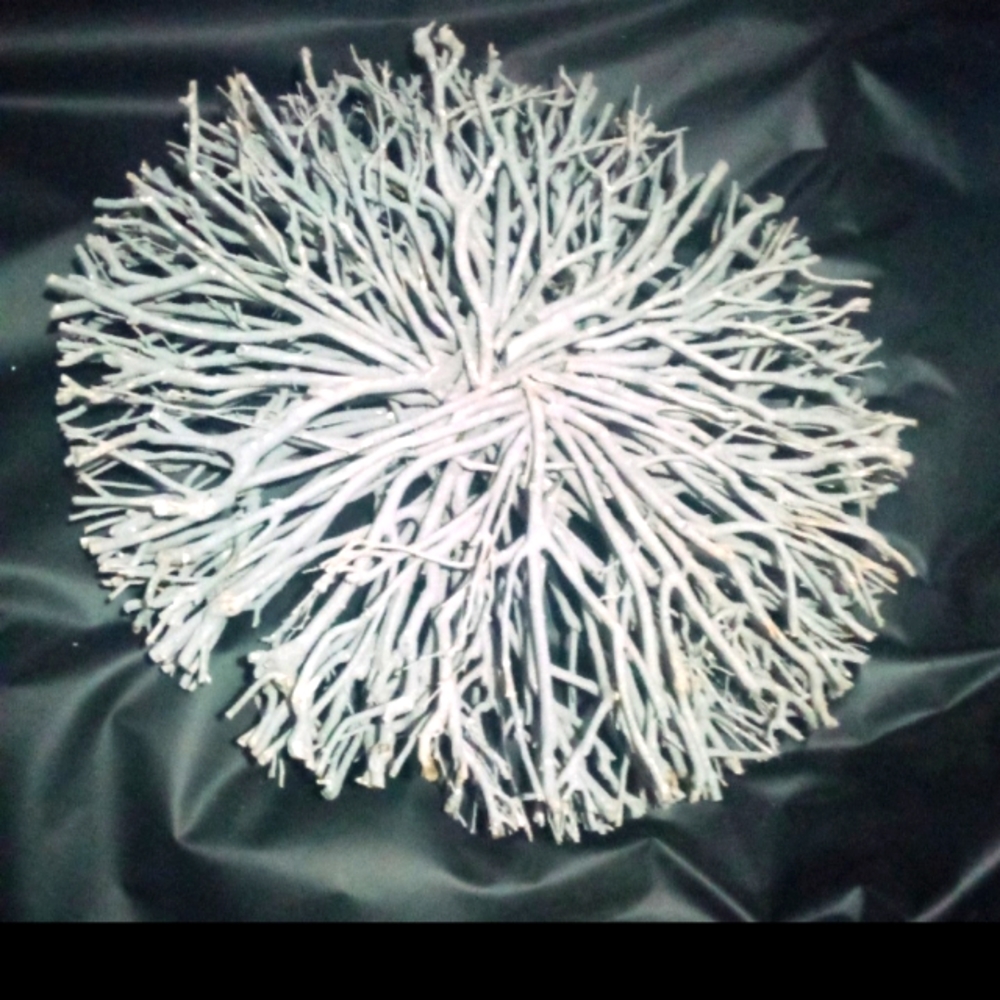Natural Wreath